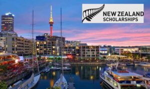 new zealand scholarship