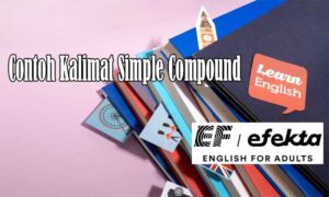 contoh kalimat simple compound